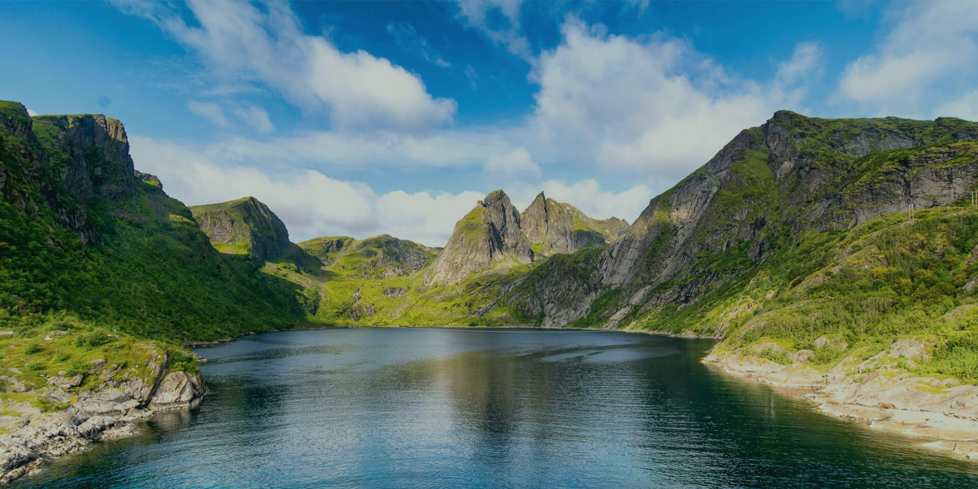 黄瓜视频成人APP下载